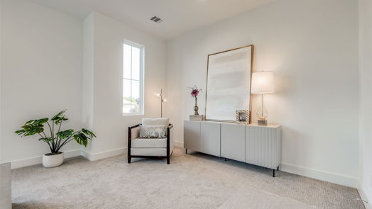 Houston 3-story, 4-bed 2306 HAZARD Street-idx
