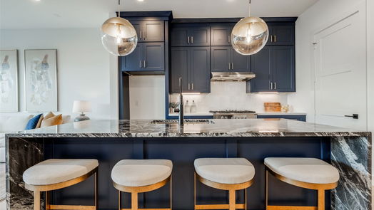 Houston 3-story, 4-bed 2111 PARK Street-idx