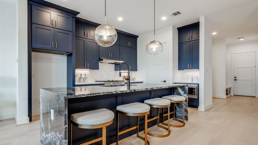 Houston 3-story, 4-bed 2111 PARK Street-idx