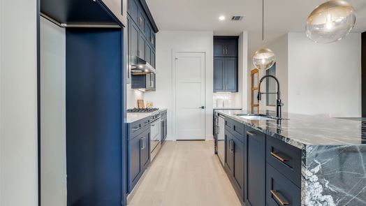 Houston 3-story, 4-bed 2111 PARK Street-idx