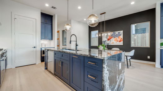 Houston 3-story, 4-bed 2111 PARK Street-idx