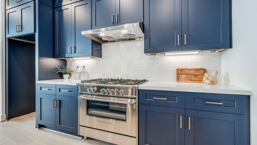 Houston 3-story, 4-bed 2111 PARK Street-idx