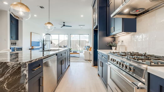 Houston 3-story, 4-bed 2111 PARK Street-idx