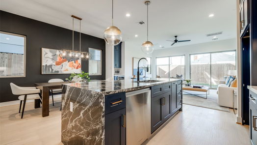 Houston 3-story, 4-bed 2111 PARK Street-idx