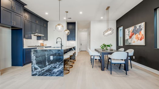 Houston 3-story, 4-bed 2111 PARK Street-idx