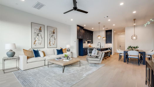 Houston 3-story, 4-bed 2111 PARK Street-idx
