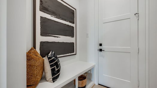 Houston 3-story, 4-bed 2111 PARK Street-idx