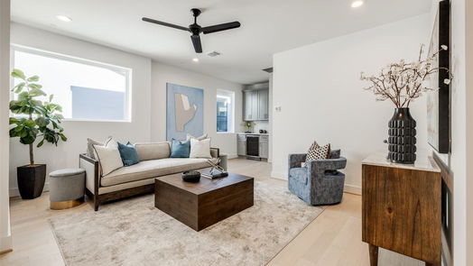 Houston 3-story, 4-bed 2111 PARK Street-idx
