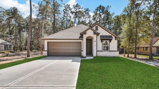 New Caney 1-story, 4-bed 2906 Parthenon Place-idx