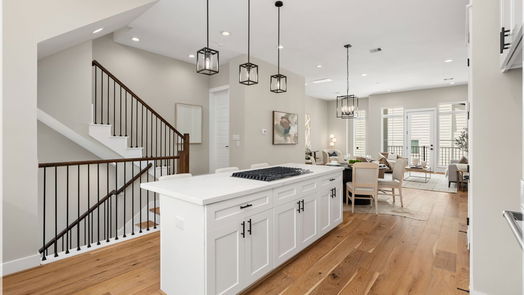 Houston 3-story, 3-bed 1139 W 22nd Street-idx