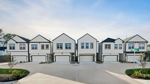 Houston 2-story, 3-bed 1113 Wheatley Springs Ln Lane-idx