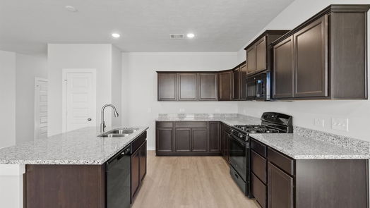 Conroe 1-story, 4-bed 3017 Pampaneria Drive-idx