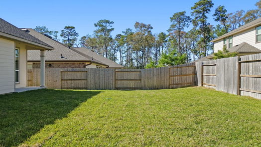 Conroe 1-story, 4-bed 3017 Pampaneria Drive-idx