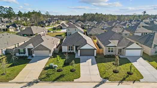 Conroe 1-story, 4-bed 2948 Palominos Way-idx