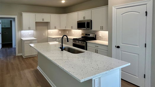 Magnolia 1-story, 3-bed 40627 Mostyn Lake Drive-idx