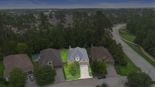 Conroe 1-story, 3-bed 106 Lily Green Court-idx