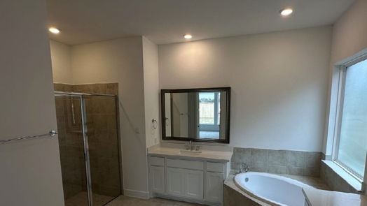 Friendswood 2-story, 4-bed 1516 River Point Drive-idx
