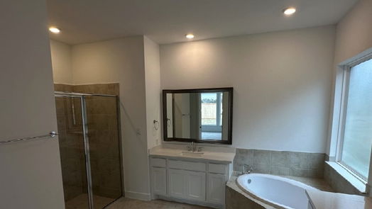 Friendswood 2-story, 4-bed 1516 River Point Drive-idx