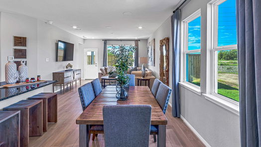 Hockley 2-story, 4-bed 21803 New Spur Lane-idx