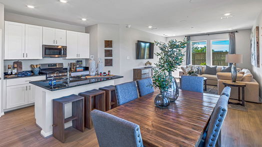 Hockley 2-story, 4-bed 21803 New Spur Lane-idx