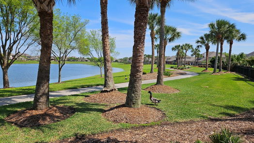 League City 2-story, 4-bed 4475 Flamenco Gardens-idx