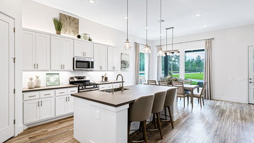Montgomery 1-story, 2-bed 110 S Turks Cap Trail-idx
