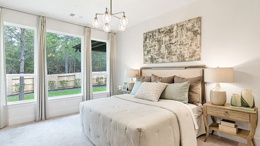 Montgomery 1-story, 2-bed 110 S Turks Cap Trail-idx