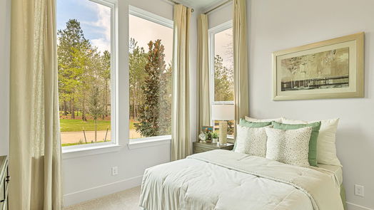 Montgomery 1-story, 2-bed 110 S Turks Cap Trail-idx