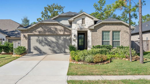 Montgomery null-story, 3-bed 219 N Wild Petunia Trail-idx