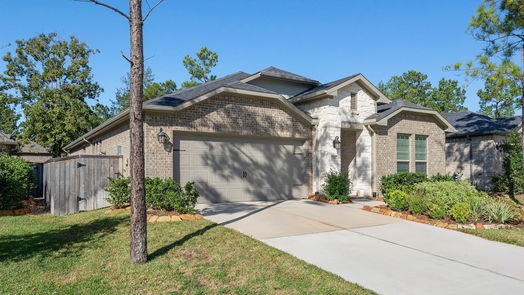 Montgomery null-story, 3-bed 219 N Wild Petunia Trail-idx