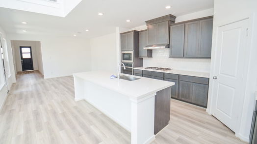Richmond 2-story, 5-bed 17307 Orchid Hollow Drive-idx