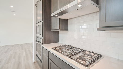Richmond 2-story, 5-bed 17307 Orchid Hollow Drive-idx