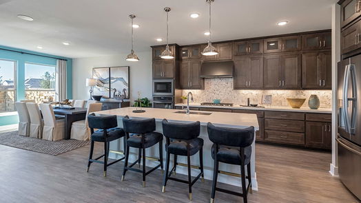 Richmond 2-story, 5-bed 9803 Daffodil Springs Drive-idx