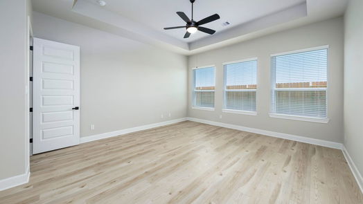 Iowa Colony 1-story, 3-bed 2115 Tioga View Drive-idx