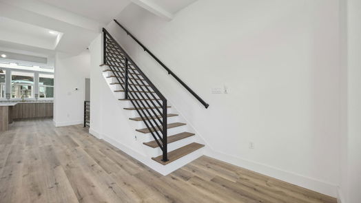 Houston 3-story, 3-bed 1805 Emir Street E-idx