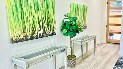 Houston null-story, 3-bed 2014 Blodgett Street-idx