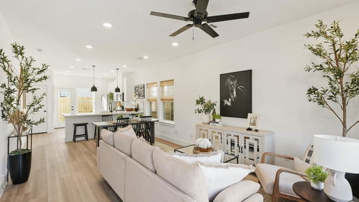 Houston 2-story, 3-bed 2131 Carr Street-idx