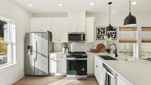 Houston 2-story, 3-bed 2131 Carr Street-idx