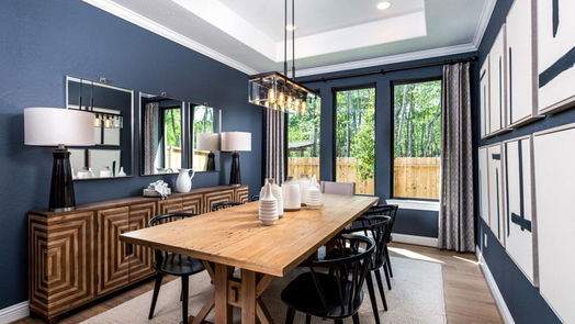 Conroe 2-story, 3-bed 1718 Divino Pass-idx