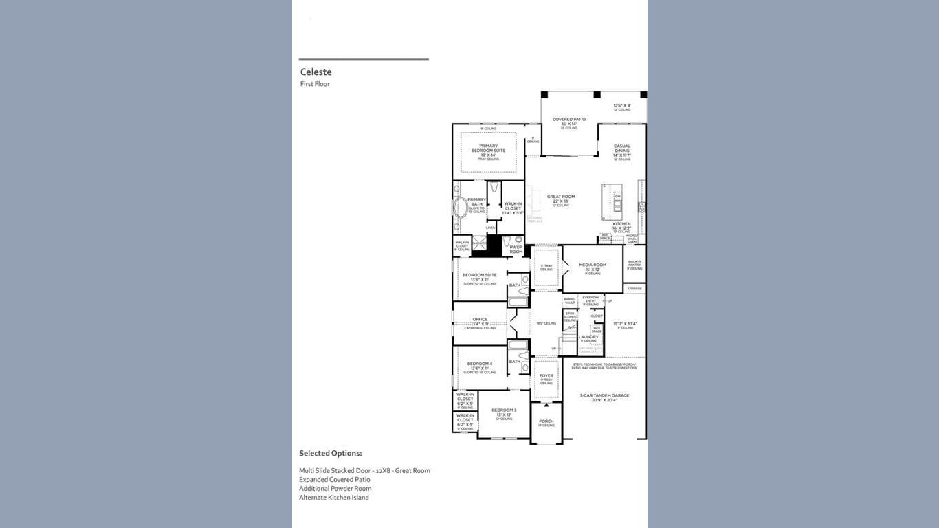 Manvel 1-story, 4-bed 5015 Golden Peach Road-idx