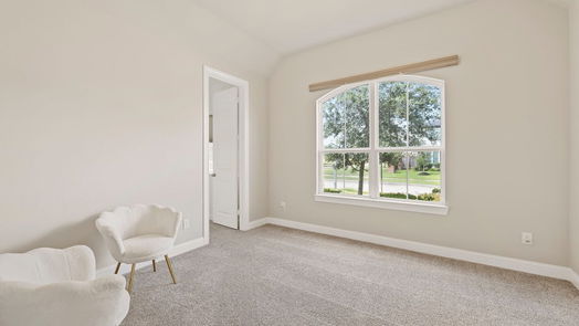 Missouri City 1-story, 4-bed 10519 Morning Oaks Drive-idx