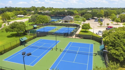 Missouri City 1-story, 4-bed 1403 Emma Lake Drive-idx