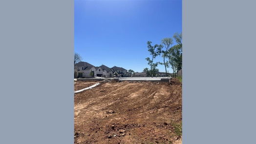 Missouri City 1-story, 4-bed 1403 Emma Lake Drive-idx