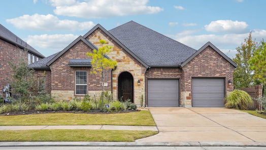 Spring null-story, 4-bed 28227 Cedar Peak Drive-idx
