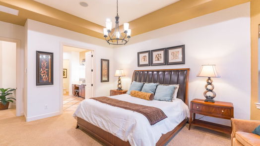 The Woodlands 2-story, 4-bed 7 Moonlit Ridge Court-idx