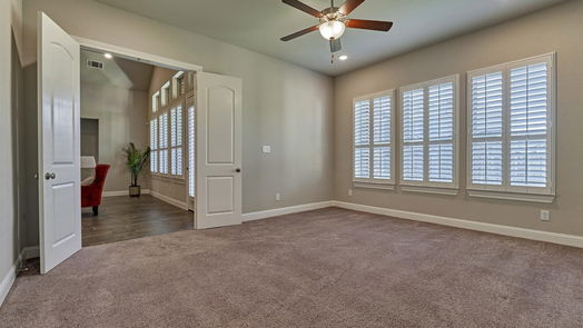 Tomball null-story, 4-bed 8 Snowdrop Lily Drive-idx