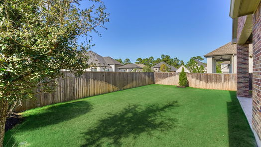 Tomball null-story, 4-bed 8 Snowdrop Lily Drive-idx