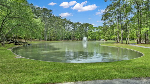 Conroe 2-story, 5-bed 8977 Argonne Stone Lane-idx