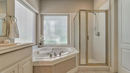 Conroe 2-story, 4-bed 14851 Old Conroe Road-idx