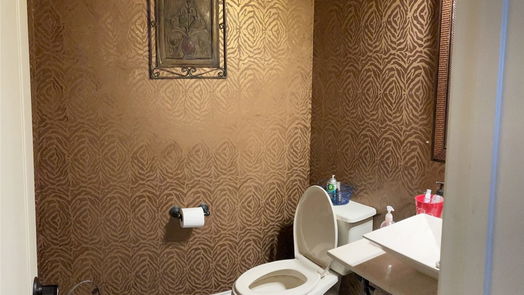 Fulshear 2-story, 5-bed 6006 Waterfall Trace Ln-idx